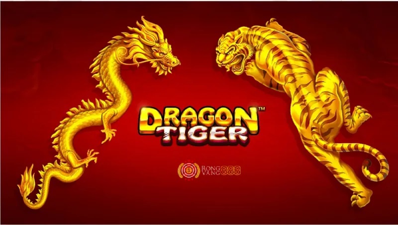 Tiger Dragon Online Experience