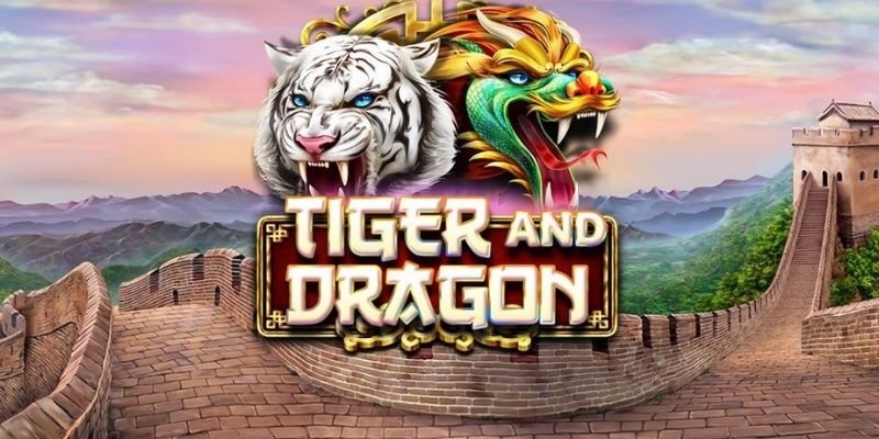 Probability of winning a tiger dragon